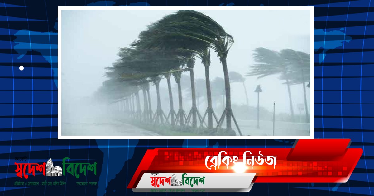 Read more about the article কমেছে তাপপ্রবাহ, অব্যাহত থাকবে ঝড়-বৃষ্টি