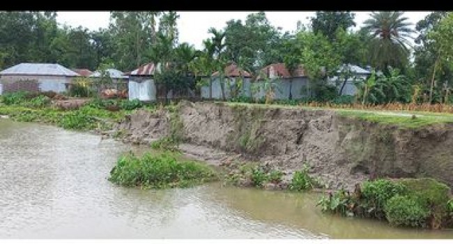 Read more about the article তিস্তার ভাঙনে দিশেহারা বিনবিনিয়াবাসি