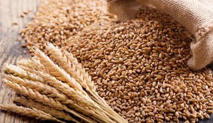 Read more about the article বাংলাদেশে ‘৬ লাখ টন গম রপ্তানি করবে’ ভারত