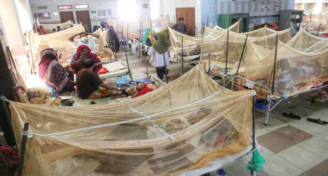 Read more about the article ডেঙ্গু আক্রান্ত আরো ২২ রোগী হাসপাতালে