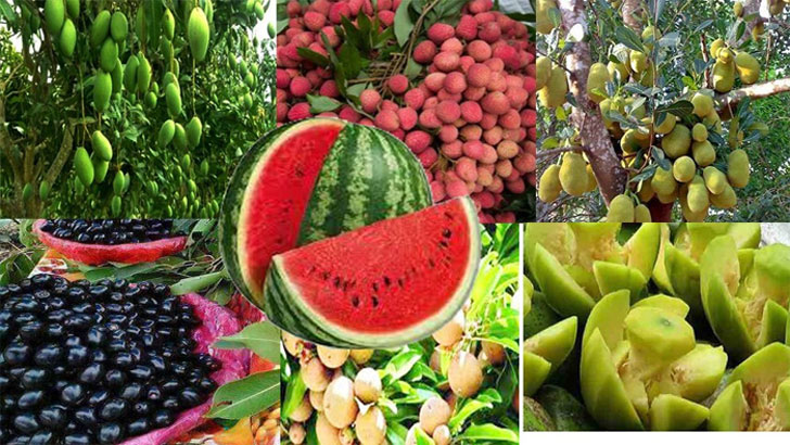 Read more about the article মৌসুমি ফল তরমুজ ও আমের পুষ্টিগুণ