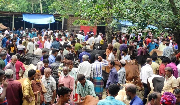 Read more about the article হাটে পশু আছে, ক্রেতা নেই