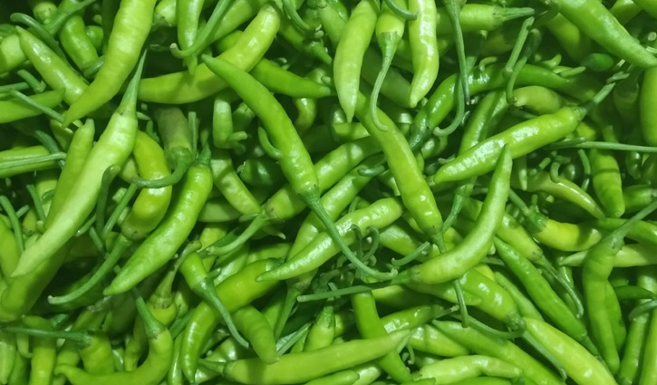 Read more about the article কাঁচা মরিচের কেজি ৫০ টাকা