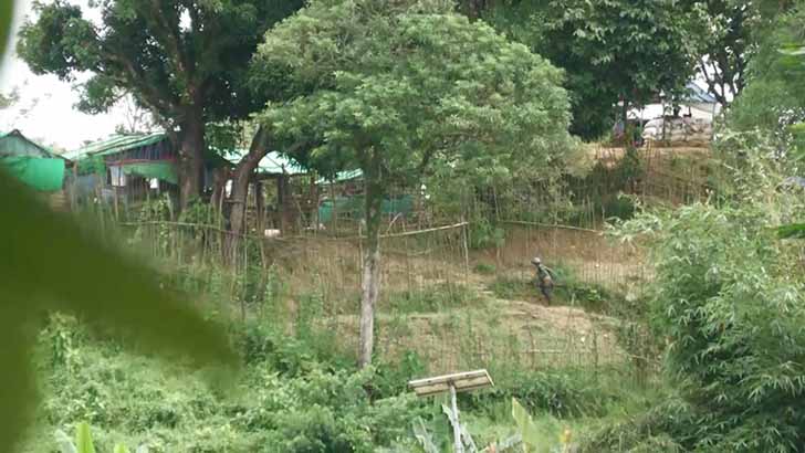 Read more about the article মিয়ানমারে ফিরব, না হয় ‘শূন্যরেখায় মরব’