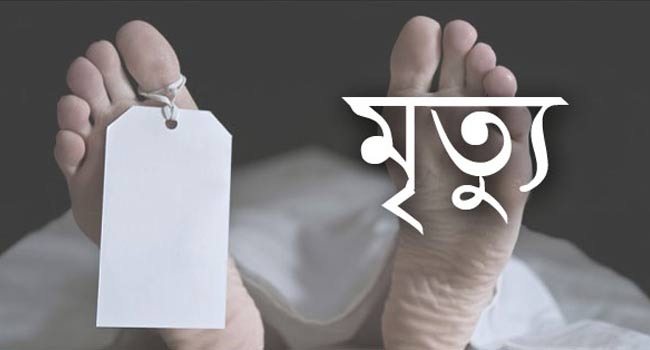 Read more about the article মাত্র ৭ ঘণ্টার ব্যবধানে শ্বশুর-পুত্রবধূর মৃত্যু