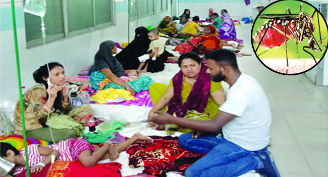 Read more about the article ৩০ দিনে ডেঙ্গু আক্রান্ত ২১ হাজার ছাড়িয়েছে
