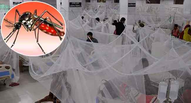 Read more about the article দেশে আরো ৪৪৯ জন ডেঙ্গু আক্রান্ত