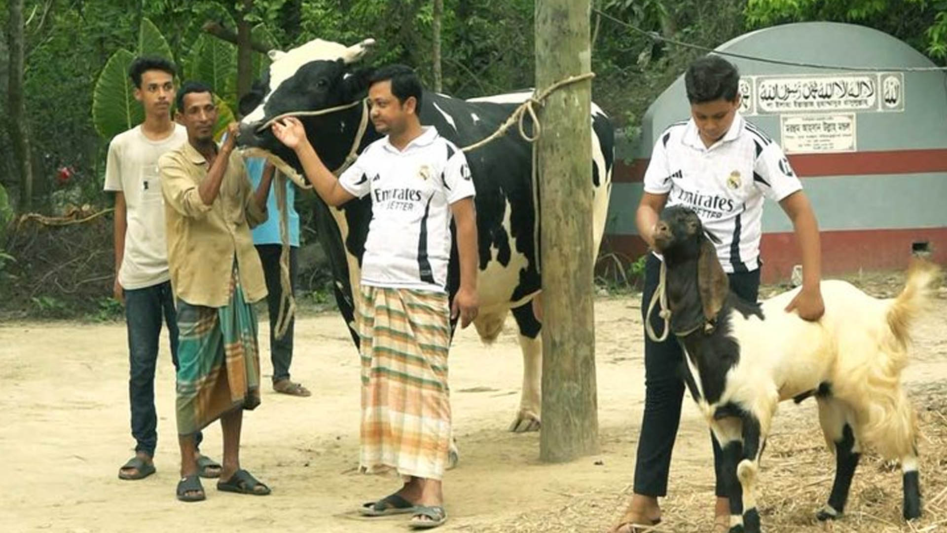Read more about the article কোরবানির চমক ৩০ মণের ‘টাইগার বিষু’, ফ্রিতে ৫০ কেজি ছাগল