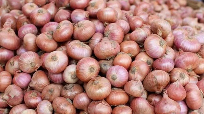 Read more about the article পেঁয়াজ আমদানির অনুমতি দিচ্ছে সরকার