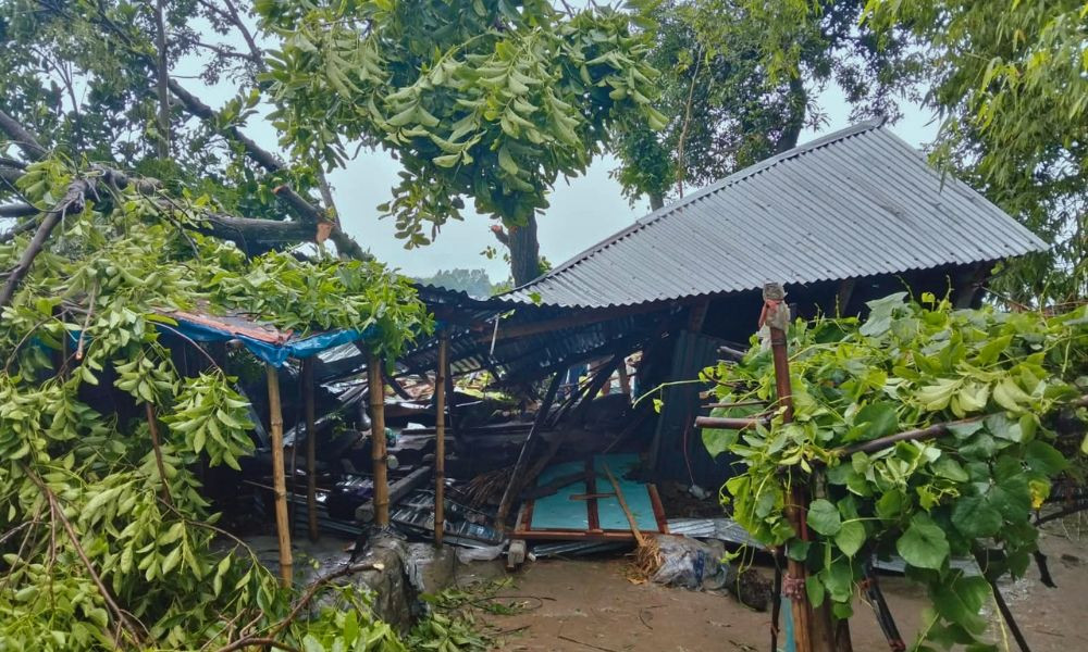 Read more about the article জামালপুরে কালবৈশাখী ঝড়ে গাছ পড়ে মা ও ২ মেয়ের মৃত্যু