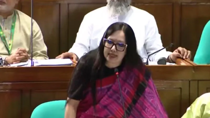 Read more about the article বাংলাদেশ ব্যাংক-বিশ্ববিদ্যালয়ে দলীয় নিয়োগের সমালোচনায় রুমিন ফারহানা