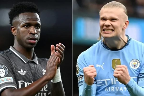 vini-halland-1760354443 vini-halland-1760354443